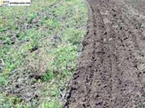 �������� ������ ���-4.2 ������