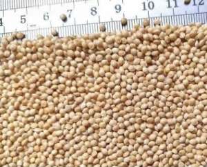 �������� ������ ����� - ����������