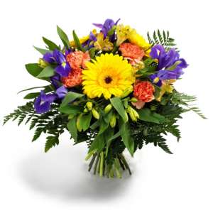 �������� ������ ����� � ������.