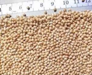 �������� ������ ����� (������� ������� �����) - ����������