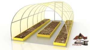 �������� ������, ������ � ������, �����, �������� �����, �����