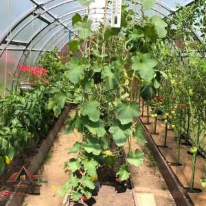 �������� ������, ������ � ������, �����, �������� �����, �����