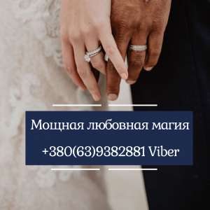 �������� ������. �������� �� ����. ���������� �� �����������. - ����������