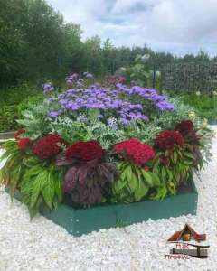 �������� ������, ��������� ������, ��������� ����