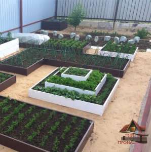 �������� ������, ��������� ������, ��������� ����