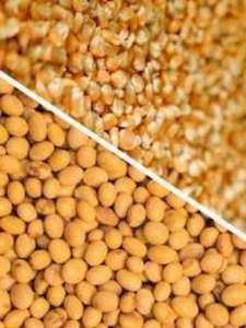 �������� ������ ���������, ��������� ��. - ����������