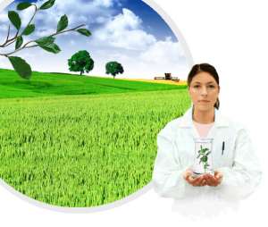 �������� ������, ���������, �����������, �������� �����