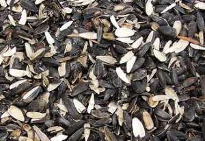 �������� ������ �������������. ����� ������� ������������� ����������. - ����������