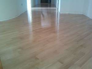 �������� �������.