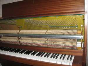 �������� ������� Ronisch