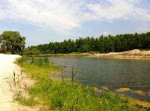 �������� ������� � �. ������ �������� 12 ����� ��� ������������� ������ ���� � ������� � ����. - ����������