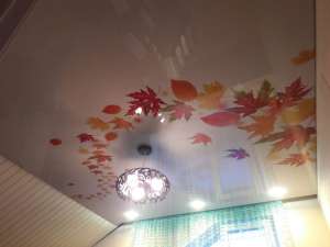 �������� ������� � ����� � ���. �� 125 ���/�2