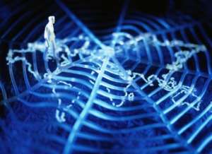 �������� ������� �� ����� ���������� - ����������