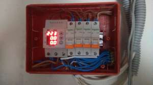 �������� ������� - ���� 25 ���, ��� ������ ������