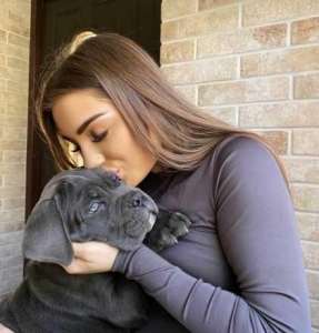 �������� ������� (���� ) ��������� ����� ���� ����� - ����������