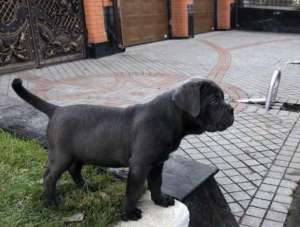 �������� ������� (���� ) ��������� ����� ���� �����