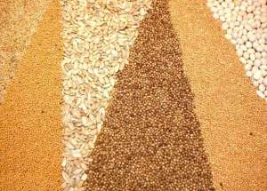 �������� ������� ����� �������, ��������, ���, ���� � ��. - ����������