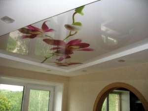 �������� ������� �������� �������� ADELE