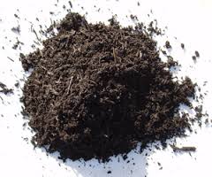 ��������, ��������. - ����������