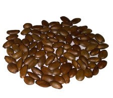 ��������, ��������, Vita Plus - ������� ������� ������! - ����������