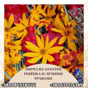 �������� �������� � ����� ����� ������������ �������� �����. ����� ��� ����� � ����� � �����.