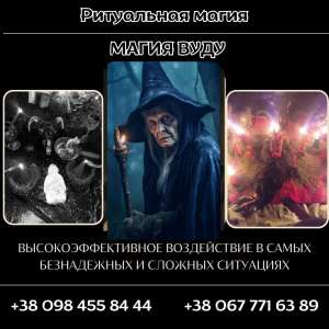 �������� �������� ����. ����� ����� ����. ��������� ������ ����. - ����������