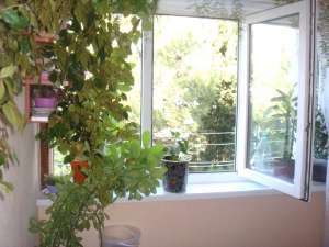 �������� �������� ������