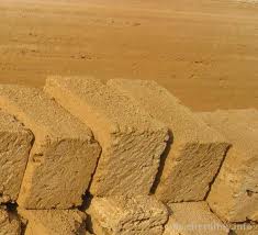 �������� �������� �������� ��� �����������