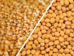 �������� ��������� ��, ������ ��������� - ����������