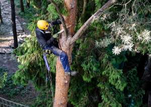 �������� ��������� ��������