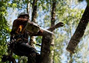 �������� ��������� ��������