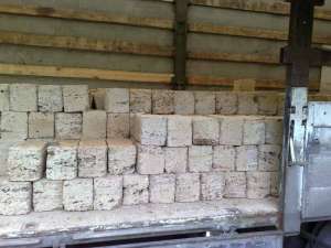 �������� ����������