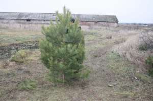 �������� ���������� ����� ����� � ����� ����� ������� � ������� - ����������