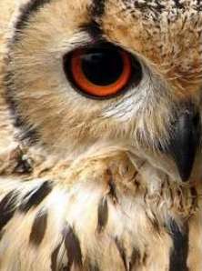 �������� ���������� ������ � ��������, �������� � ����� ������ ����. ������������