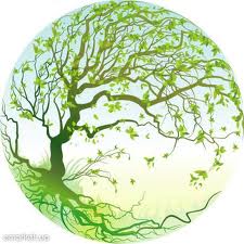 ��������, ������������ - ����������