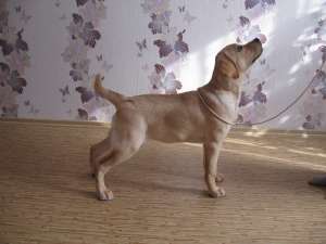 �������� ������������