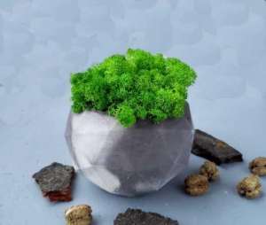 ���-�����, ������������� ����������������� ���, � �������� ������ - ����������