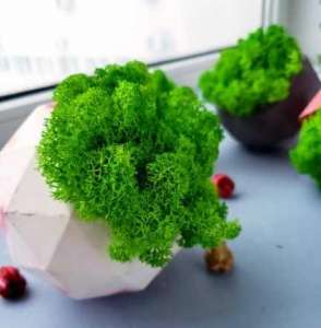 ���-�����, ������������� ����������������� ���, � �������� ������