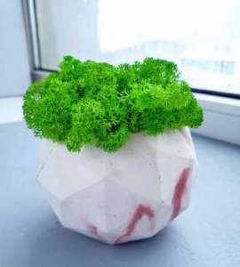 ���-�����, ������������� ����������������� ���, � �������� ������