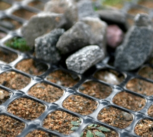 �������� ����������������������, �������� 40 S ; 30 S - ����������