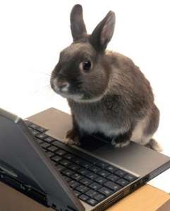 ��������� � ��������� - ����������