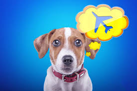 ��������� �� ������ �������� ������