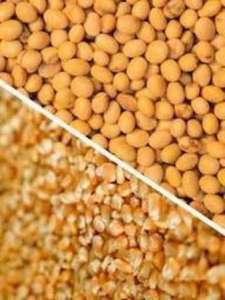 ��������� ��, ������ ��������� - ����������