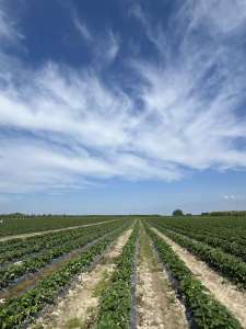 ��������� �� �������� ������ �������� � ������. ����������, ����� ��������