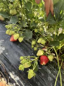 ��������� �� �������� ������ �������� � ������. ����������, ����� ��������