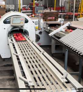 ��������� �� ���������� ��� ���������� �� ��������� ������