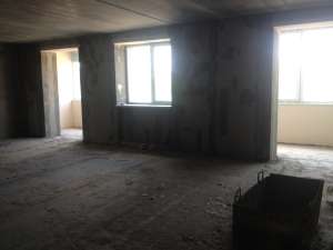 ��������� �� ����������, ���������, ��������. ������������ �������������. �������. ������������� � �������� - ����������