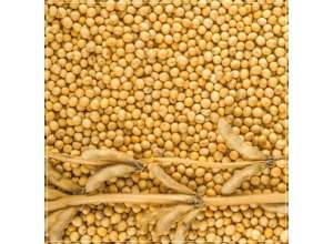 ��������� ���. - ����������