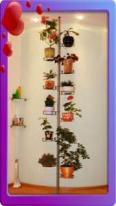 ��������� ��� ������