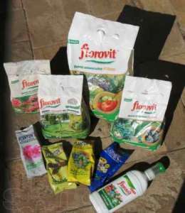 ��������� ��� ������ - �������� - ����������